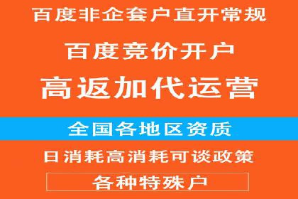 百度竞价代理优化策略：案例分享与借鉴